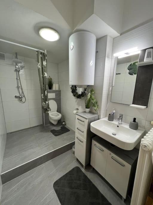 Apartment City Center Würzburg Dış mekan fotoğraf